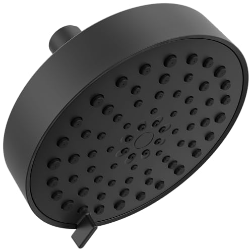 Modern 4 Setting Brushed Nickel Shower Head