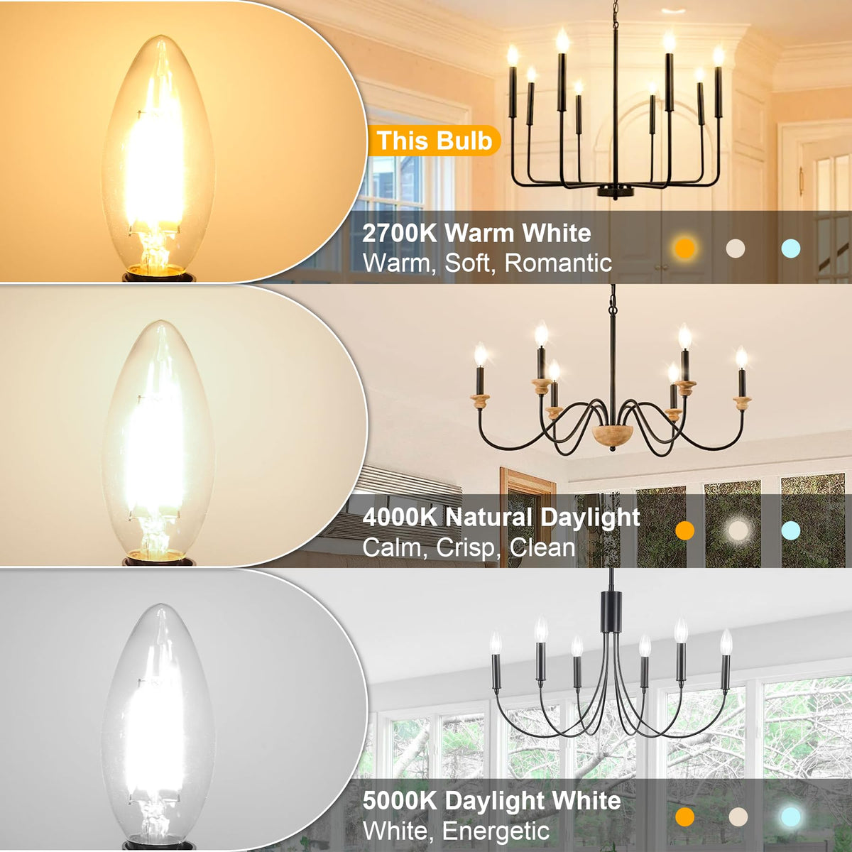 12 Pack E12 LED Light Bulbs for Chandelier 60W Equivalent 2700K Warm White (12 Count (Pack of 1))