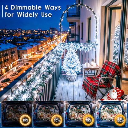 1000 LED Christmas Lights Outdoor 328 FT Cool White Remote and Plug (Cool White / 1000 LED)
