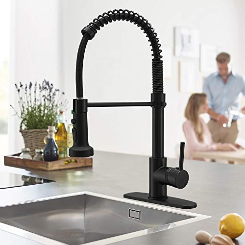 Kitchen Sink Faucet