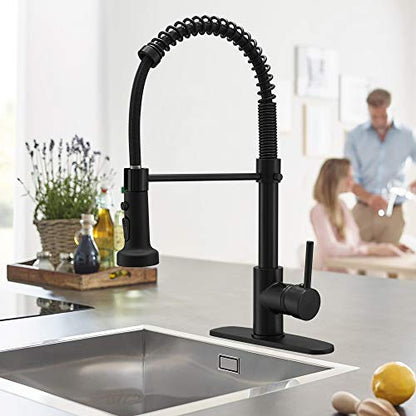 Kitchen Sink Faucet