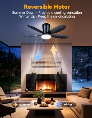 Ceiling Fans with Lights