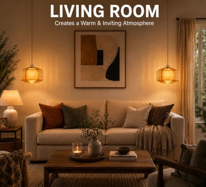 Plug in Pendant Light Cord