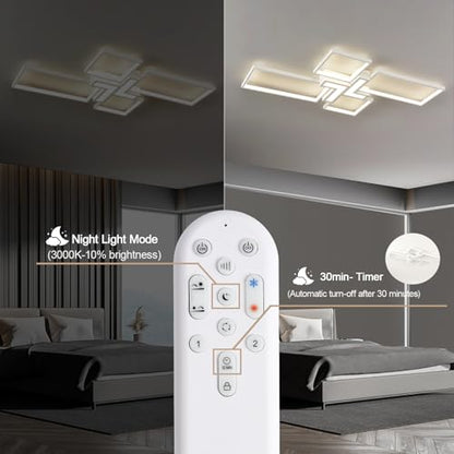 Modern Ceiling Light