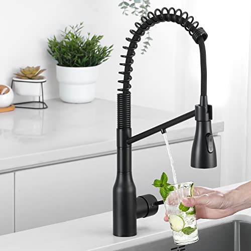Kitchen Faucet with Pull Down Sprayer and Pot Filler