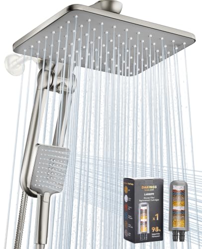 Dual Shower Head Combo with Filter