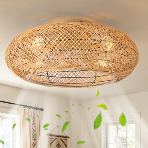 ceiling fan