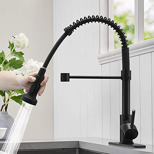 Kitchen Sink Faucet
