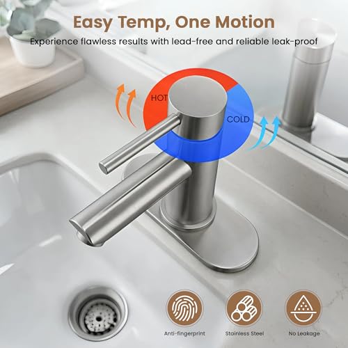 Bathroom Sink Faucet Single Handle