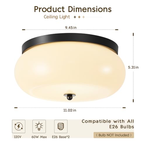 Modern Ceiling Light
