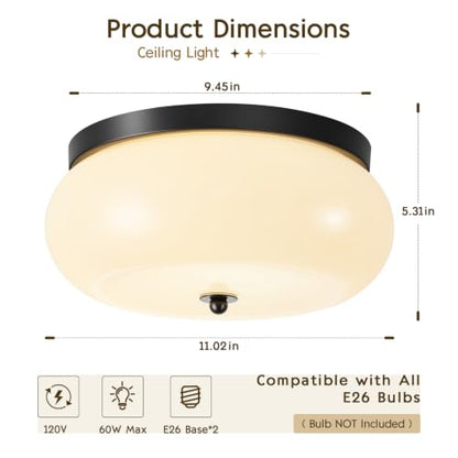 Modern Ceiling Light