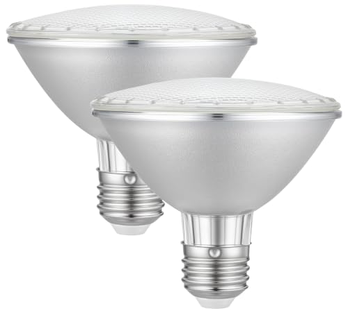 E26 PRA30 120V Light Bulb