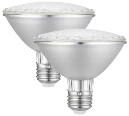 E26 PRA30 120V Light Bulb