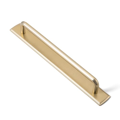 2 Pack Cabinet Pulls with Backplate 2510