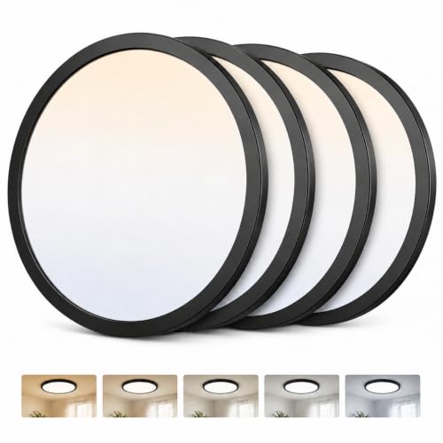 Ceiling Lights