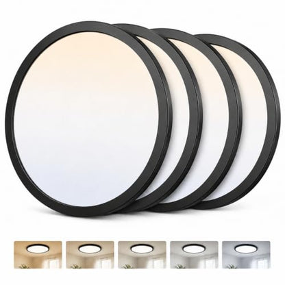 Ceiling Lights
