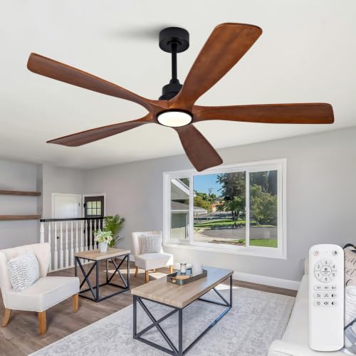Ceiling Fan with Light