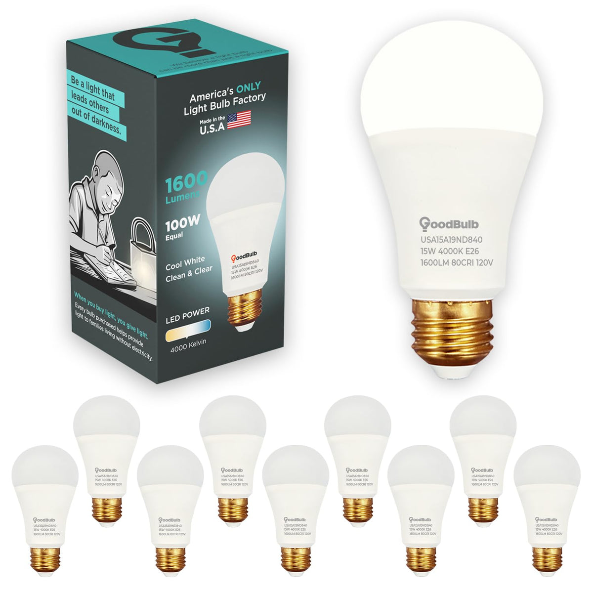 Made in USA A19 LED Light Bulbs (Cool White)