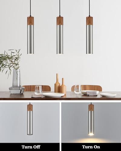 Modern Pendant Light