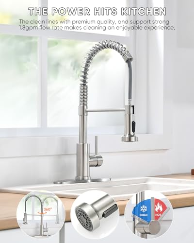 Kitchen Faucet 9009SN