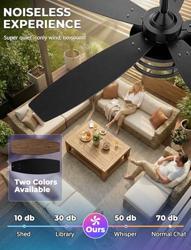 Outdoor Ceiling Fans with Light