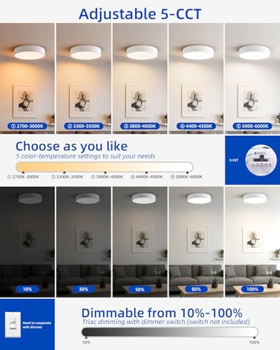 LED Ceiling Light