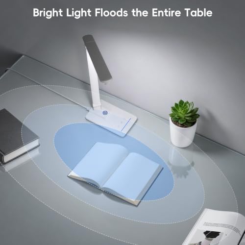 LED Desk Lamp