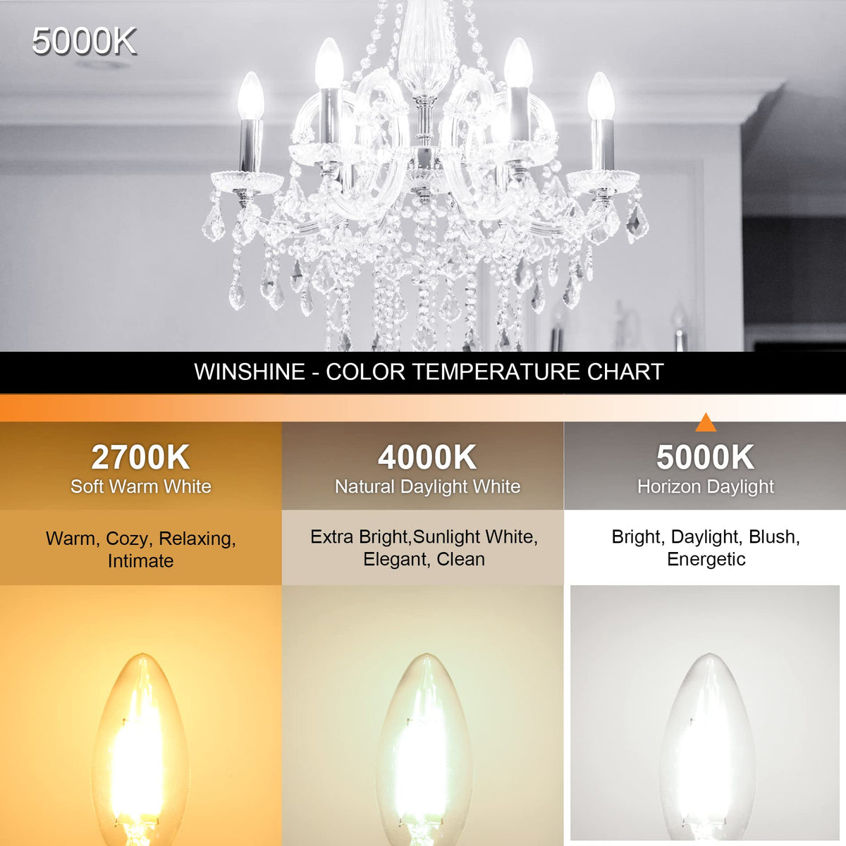 10 Pack E12 Chandelier LED Light Bulbs 60W Equivalent 5000K Daylight (10 Count (Pack of 1))