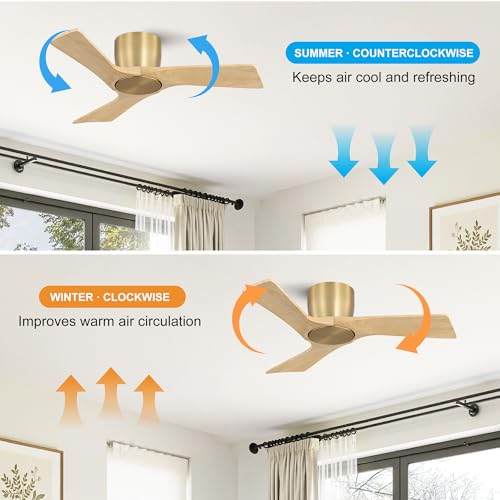 36 Inch Ceiling Fan without Light (Gold/Light Oak / 36")