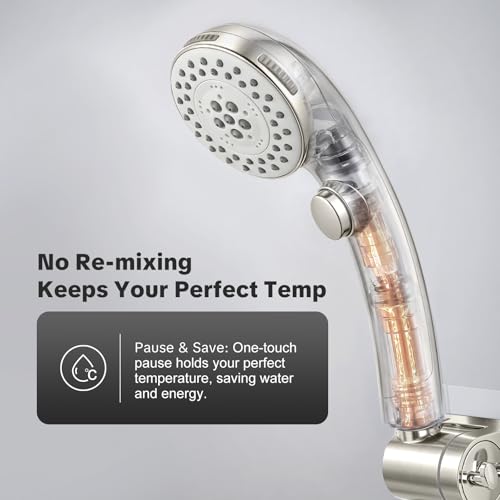 Handheld Shower Head