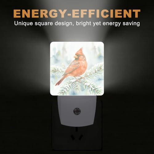 Night Lights Plug into Wall (Cardinal B)