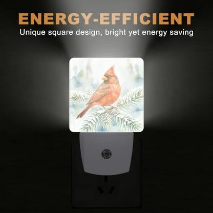 Night Lights Plug into Wall (Cardinal B)