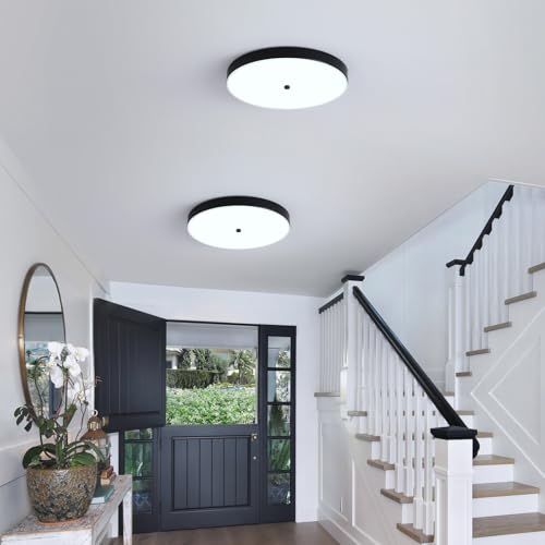12" Black Flush Mount Ceiling Light Fixture