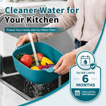 Water Filter Replacement Cartridge for AO Smith WH