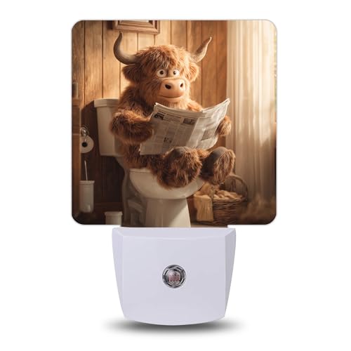 Night Light Night Lights Plug into Wall with Dusk to Dawn Sensor for Bedroom Bathroom Hallway Kitchen