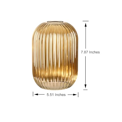 2PACK Glass Shade