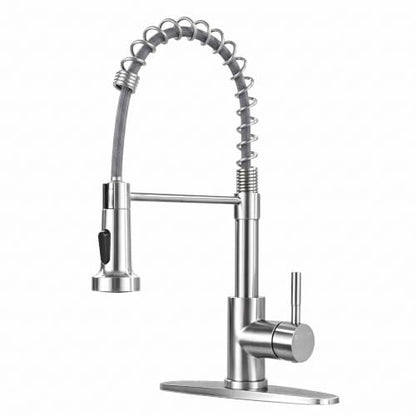 Kitchen Faucet with Pull Down Sprayer (Brushed Nickel)