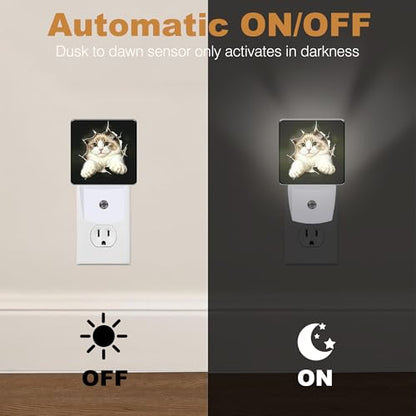 Night Light Broken Hole Cat Night Lights Plug into Wall with Dusk to Dawn Smart Sensor for Bedroom Bathroom Hallway Kitchen (Broken Hole Cat)
