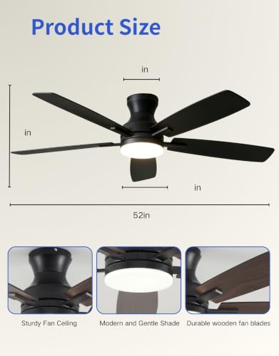 Ceiling Fans with Lights