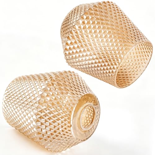 2Pcs Small Glass Lamp Shades
