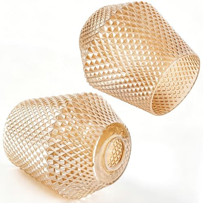 2Pcs Small Glass Lamp Shades