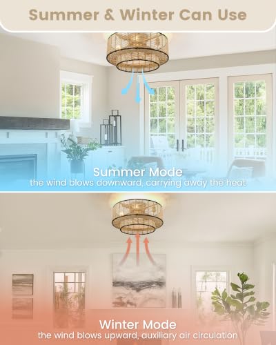 20" Rattan Boho Caged Ceiling Fan with Light Flush Mount and Remote