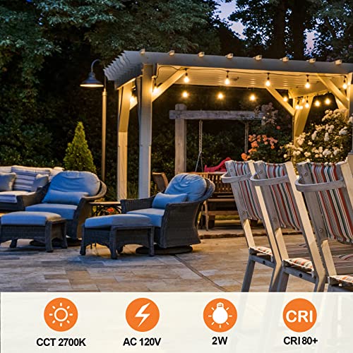 S14 LED Light Bulbs Replacement Outdoor
