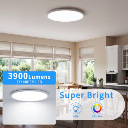 19.3 Inch LED Flush Mount Ceiling Light