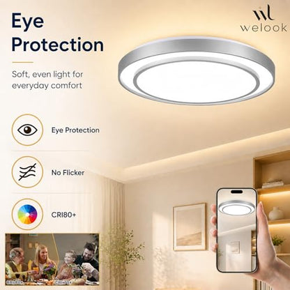 20Inch LED Flush Mount Ceiling Light (Silver / 20Inch)