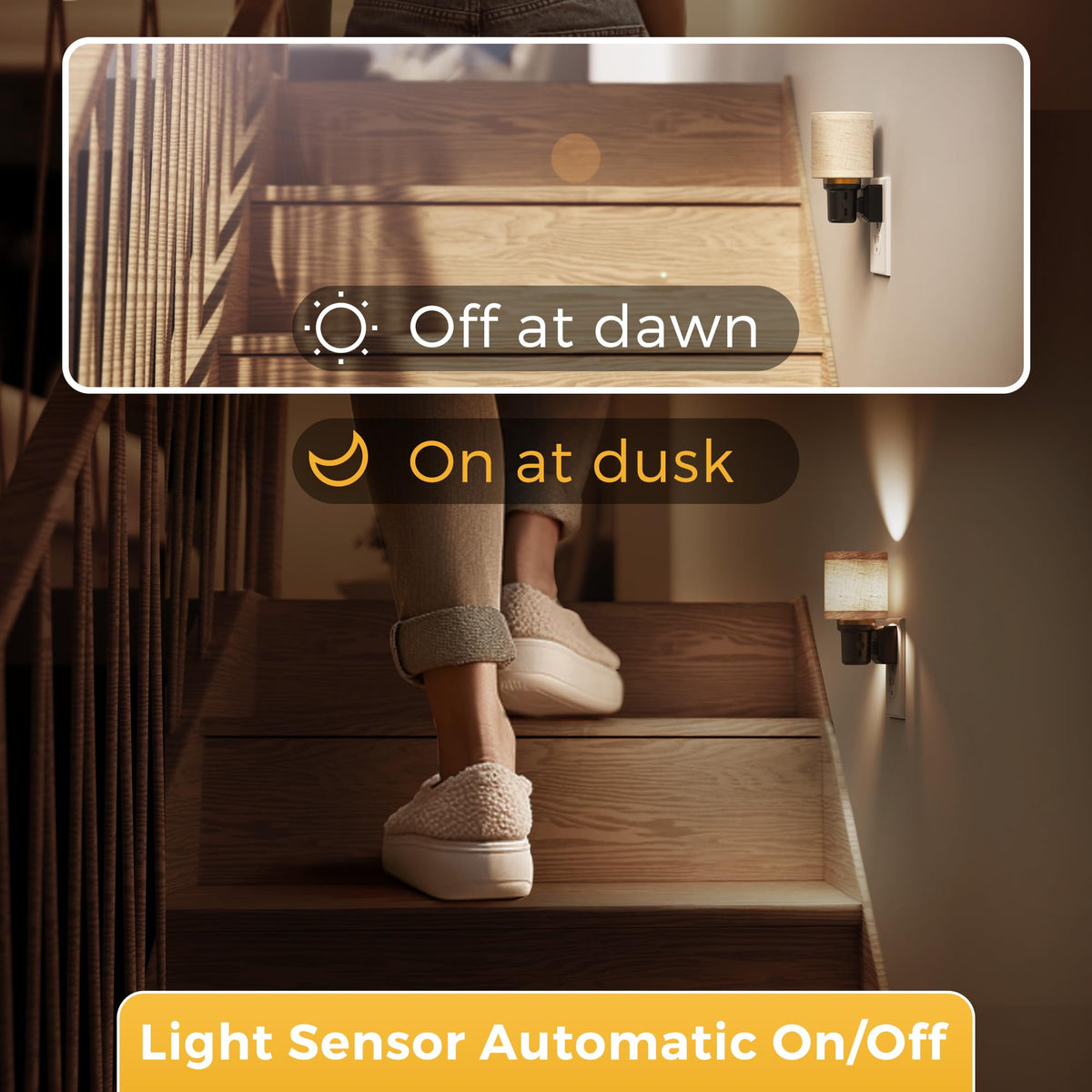 Night Lights Plug into Wall (Cylinder-5000K / 1 Pack)