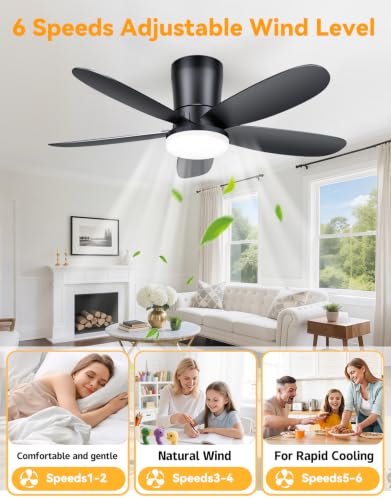 Ceiling Fans with Lights
