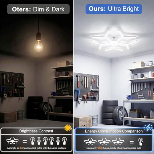 LED Garage Light
