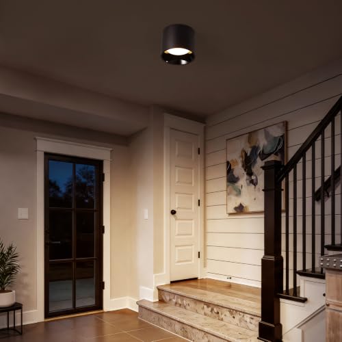 Flush Mount Ceiling Light Fixture