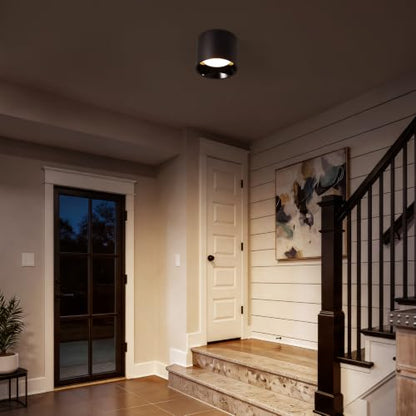 Flush Mount Ceiling Light Fixture